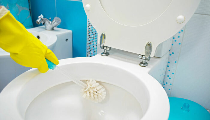 12 common toilet cleaning mistakes to avoid