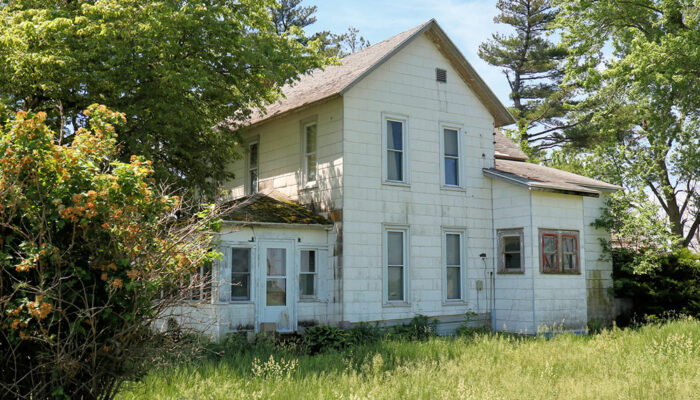 Pros and cons of house sitting for rent-free accommodation