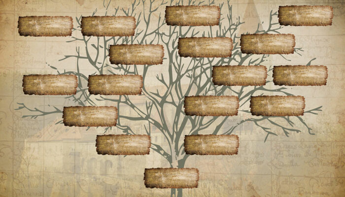 5 mistakes to avoid when exploring family history